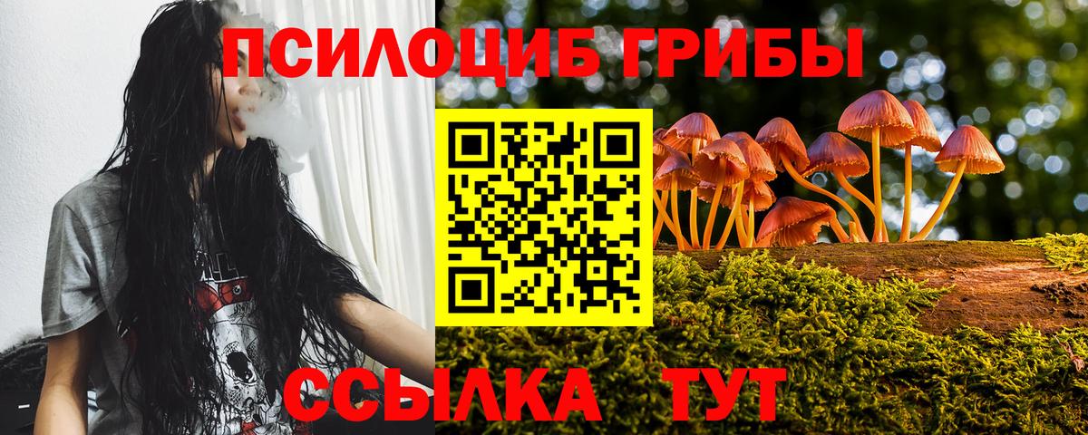 Псилоцибиновые грибы мухоморы  Вход с VPN  Галлюциногенные грибы GOLDEN TEACHER  Сланцы 