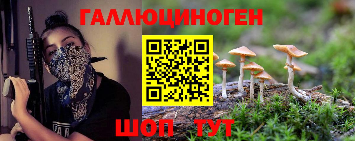 Псилоцибиновые грибы GOLDEN TEACHER Сланцы